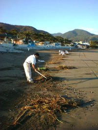 松崎海岸清掃