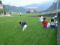 ジュニアボランティア