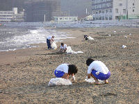 早朝の海岸清掃