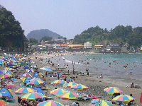 岩地海水浴場は、海水浴客で賑わっていました