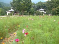 道の駅花の三聖苑