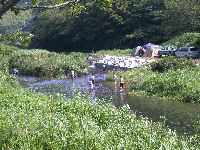 那賀川でも・・・