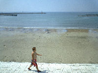 松崎海岸大清掃