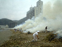 松崎海岸清掃