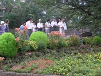 第28回花壇コンクール