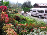 第28回花壇コンクール