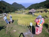 案山子コンテスト