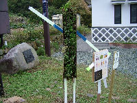 アイディアかかし