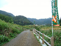 今日の石部棚田