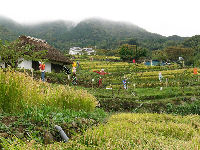 石部棚田のかかし