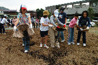 花植えボランティア
