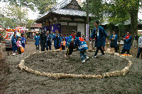 伊那上神社子供相撲