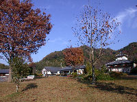 今日の「道の駅」花の三聖苑