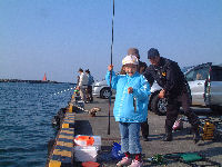 松崎港の釣り
