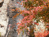 ねずっくいの滝