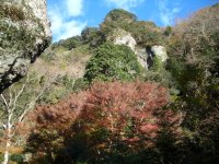 岩科地区八木山高野山のモミジ