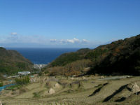 今日の石部棚田