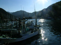 今日の河口の風景