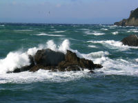 風が強く、海も大荒れでした
