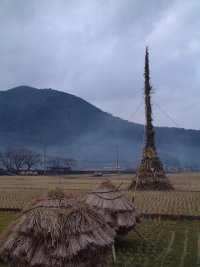 歳の神