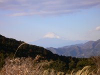 長者が原からの富士山