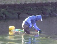 川のり採り