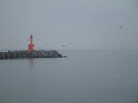 松崎港