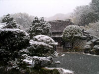 大沢温泉雪景色