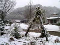 今日の「道の駅」雪景色