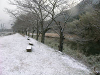 今日は雪