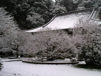 帰一寺雪景色