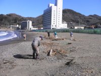松崎海岸清掃
