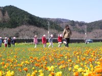 那賀花畑散策 那賀花畑散策