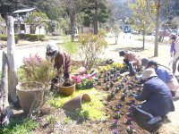 三聖苑花クラブ