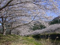 那賀バイパス 那賀バイパス