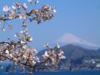 国道136号線沿い 国道136号線沿い