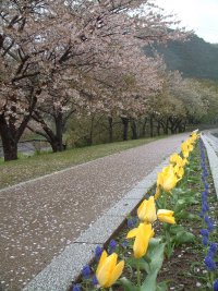 那賀バイパス 那賀バイパス