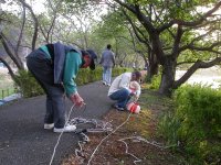 地域おこしの会提灯片づけ 地域おこしの会提灯片づけ
