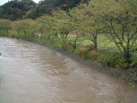 岩科川増水 岩科川増水