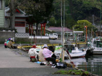 河口ではにはスケッチツアーのお客さんも見られました