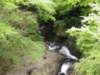 長九郎山新緑の渓流