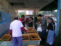 今朝の松崎漁協市場