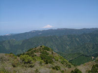 池代長九郎山からの富士山