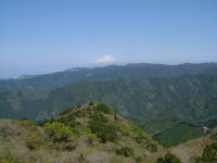 池代長九郎山からの富士山 池代長九郎山からの富士山