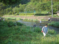 岩科川の河川清掃 岩科川の河川清掃