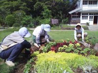 三聖花クラブ 三聖花クラブ