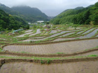 石部棚田 石部棚田