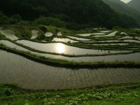 棚田 棚田