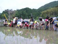 岩科小・幼田植え