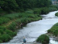 那賀川鮎釣り